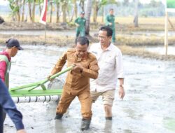 BupAAS Tancap Gas Modernisasi Pertanian, Pimpin Gerakan Tanam Serempak PM AAS di Ajangale