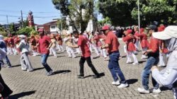 20 OPD Adu Kreativitas, Senam Kreasi Semarakkan HUT ke-81 RI di Bone