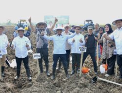 BupAAS Tanam Perdana Tebu 510 Hektare, Bone Serius Menuju Lumbung Tebu Sulsel