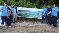PT Vale Tanam Harapan di Mangkasa Point, Pulihkan Mangrove dan Lamun untuk Masa Depan Pesisir Luwu Timur