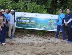 PT Vale Tanam Harapan di Mangkasa Point, Pulihkan Mangrove dan Lamun untuk Masa Depan Pesisir Luwu Timur