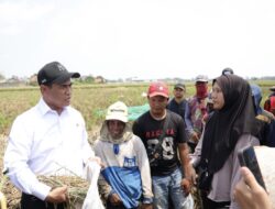 Terobosan Mentan Andi Amran: Buruh Tani Tanpa Sawah Kini Bisa Dapat Bantuan Alsintan