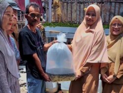 DP2 Makassar Serahkan Bantuan Aquaponik ke KT Lontara Balang Baru
