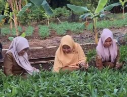 Panen Kangkung di Karampuang, DP2 Makassar Dorong Urban Farming Berkelanjutan