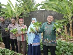 Dorong KWT Cinta Manggala Contoh Urban Farming Terintegrasi, Ini Sasaran DP2 Makassar