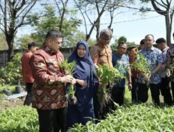 Urban Farming Terintegrasi Jadi Target DP2 Makassar Tahun Ini, Segini Jumlahnya