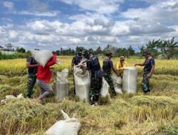 Yonarmed 21/Kawali Bone Sulap 21 Hektare Lahan Jadi Mesin Pangan! Gas Pol Pertanian, Perikanan hingga Peternakan