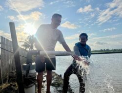 Kinerja PLN Sulselrabar: 4.438 Pelanggan Agrikultur, Produktivitas Padi Sidrap Tembus 10,4 Ton per Hektare