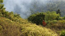 Penggunaan Kawasan Hutan, GAKKUM Ingatkan Petani Wajib Patuhi Aturan