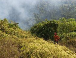 Penggunaan Kawasan Hutan, GAKKUM Ingatkan Petani Wajib Patuhi Aturan