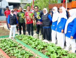 Bukan Sekadar Tanam Sayur! BupAAS Sulap Lorong Bugis Jadi Kampung Percontohan Ketahanan Pangan di Bone