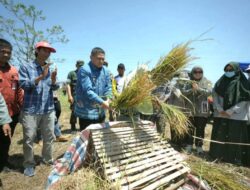 Appi Salurkan Bantuan Pertanian, Dorong Petani Makassar Manfaatkan Teknologi Modern