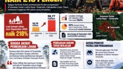 Hotspot Karhutla Tinggi, Satgas Sulsel Perketat Penjagaan Hutan Tanamalia