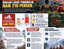 Hotspot Karhutla Tinggi, Satgas Sulsel Perketat Penjagaan Hutan Tanamalia