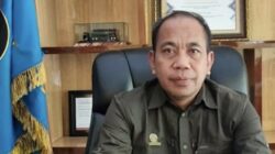 Babak Baru Kasus Dugaan Perambahan dan Pembakaran Hutan di Blok Tanamalia! Gakkum Bidik Aktor Lain, Kabut Asap Kepung Sorowako