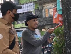 DLH Makassar Tertibkan Baliho Ilegal di Pohon, Lindungi Ruang Hijau dari Ancaman Paku