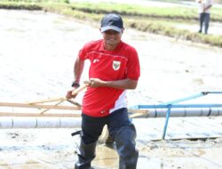 BupAAS Bidik Pertanian Tanpa Bergantung Musim, Embung Anti-El Nino Jadi Andalan IP300 di Bone