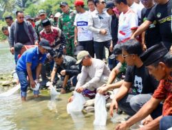 Bukan Sekadar Pesta Panen, 10 Ribu Bibit Ikan Ditebar BupAAS di Sungai Walannae