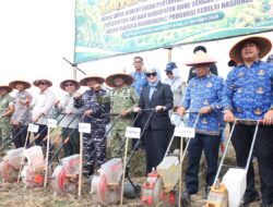 BupAAS Kolaborasi Dankodaeral VI Gebrak Sektor Pertanian Bone, Kedelai Jadi Senjata Baru Ketahanan Pangan
